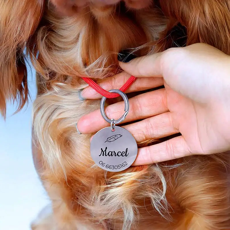 Plaque D'identité Pour Chien - Médaille Chien Personnalisée - Foto 1