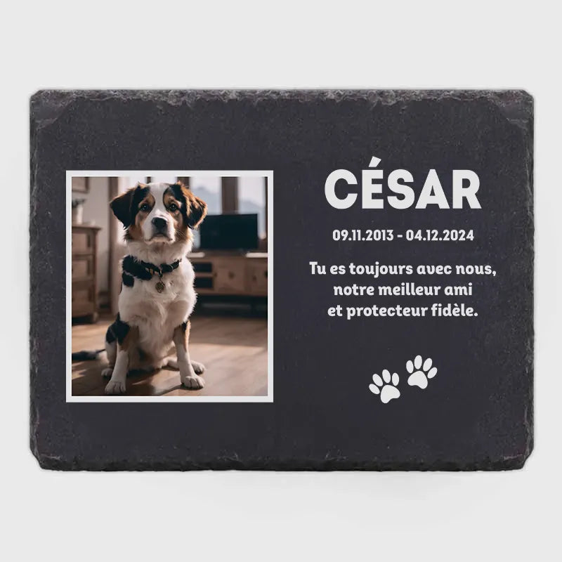 Plaque tombale personnalisée avec photo pour chien, chat - Souvenir - Image 8