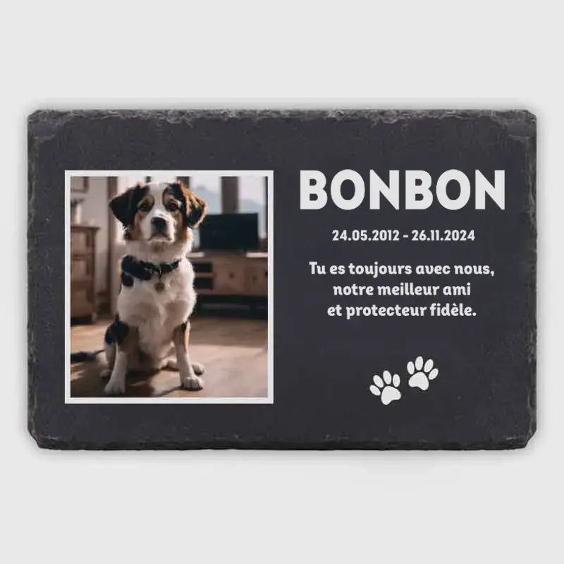 Plaque tombale personnalisée avec photo pour chien, chat - Souvenir - Image 1