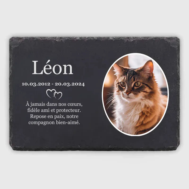 Pierre Commémorative Personnalisable Pour Chien Ou Chat – Avec Photo, Nom, Texte, Résistante Aux Intempéries - 6