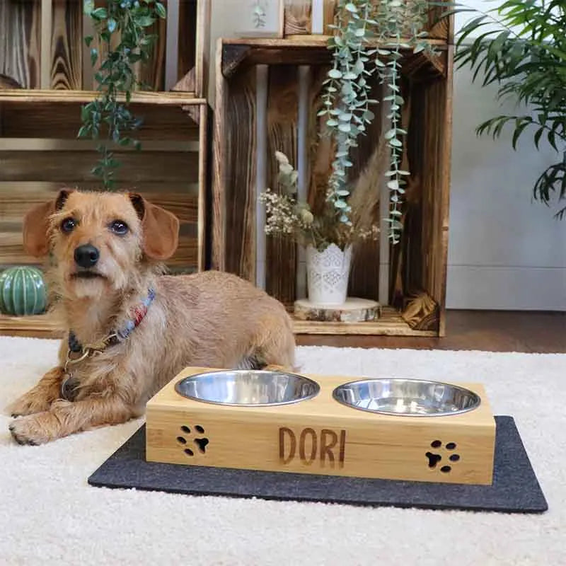 Porte-gamelles pour chien personnalisée - Image 2